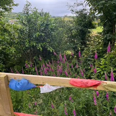 Fabulous Glamping Yurt Glamping