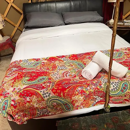 Fabulous Glamping Yurt Glamping
