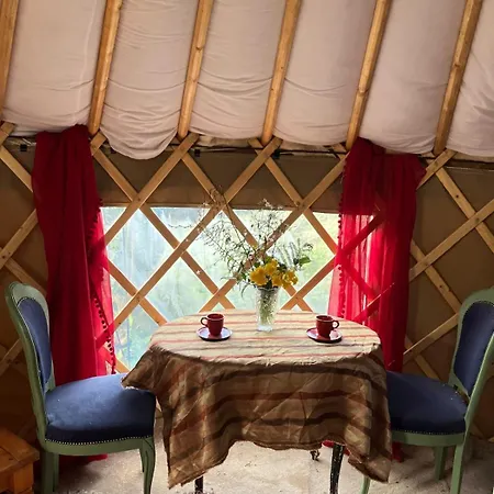 Fabulous Glamping Yurt Glamping